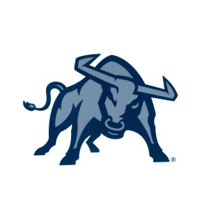 Aggie Bull Sport Decal 4X4